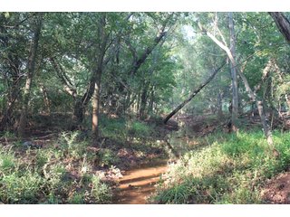 Tract 4 - Stillwater, OK farmland - EXCITING LAND AUCTION! - 128 +/- ACRES OFFERED IN 7 TRACTS OFF HIGHWAY 51 IN STILLWATER, OKLAHOMA